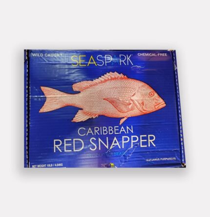 Caribbean Red Snapper